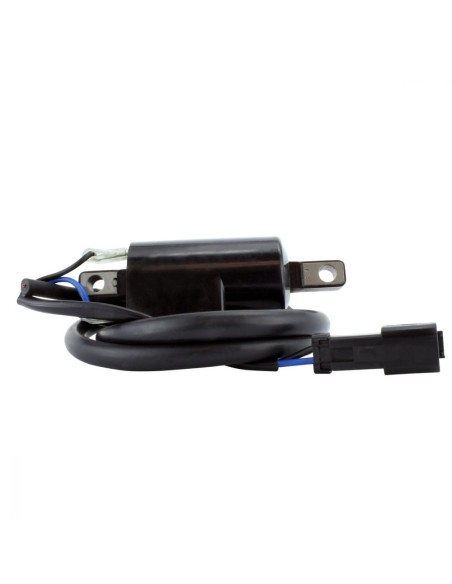 Bobine Allumage Externe SkiDoo Formula Summit 500 670 500 1998-2000 Lynx Enduro 500 1999-2001 OEM 415085400