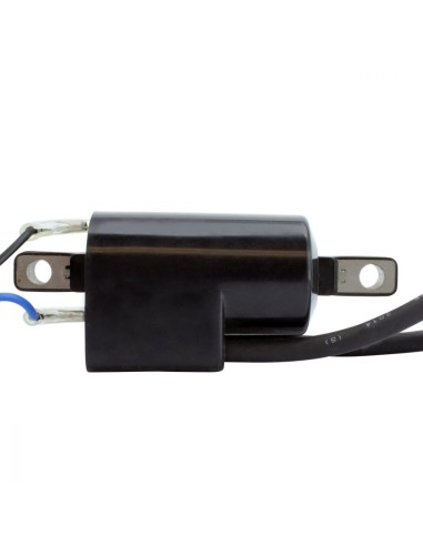 Bobine Allumage Externe SkiDoo Formula Summit 500 670 500 1998-2000 Lynx Enduro 500 1999-2001 OEM 415085400