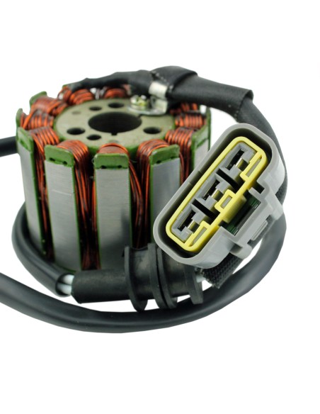 Kit Stator Régulateur Revolt Yamaha FZS1000 FZ1 FZ8 YZF R1 OEM 2D1-81410-00-00 2D1-81410-01-00 2D1-81410-10-00 5VY-81410-00-00