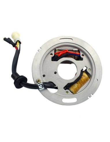 Stator Allumage Yamaha Enticer 340 LT LTR Enticer 400 Excel III 340 VK540 OEM 83R-85560-M0-00