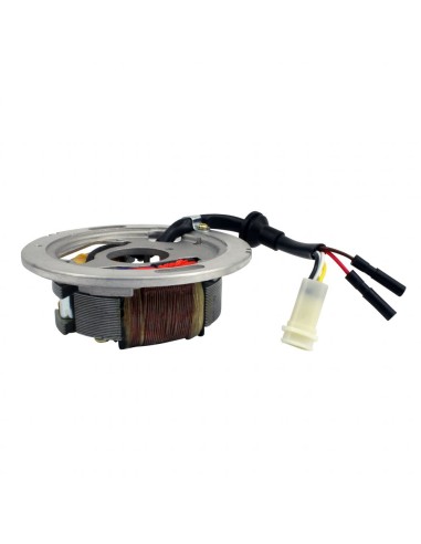 Stator Allumage Yamaha Enticer 340 LT LTR Enticer 400 Excel III 340 VK540 OEM 83R-85560-M0-00
