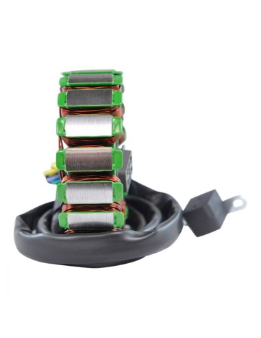 Stator CanAm DS250 OEM S31120RCA000