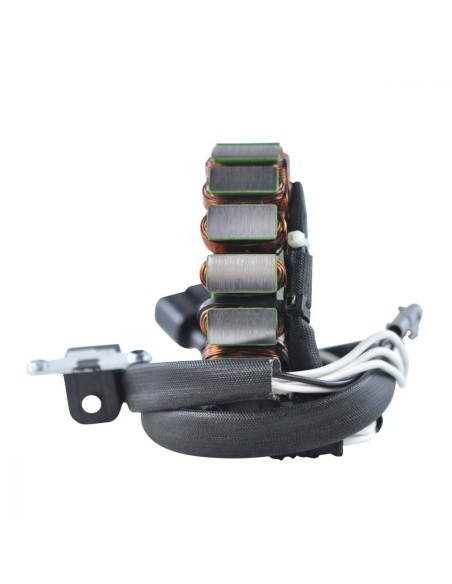 Stator Allumage Yamaha Nytro 1000 Phazer 500RS Rage 1000RS Vector 1000RS Venture 1000RS Viking 1000 Venture 500