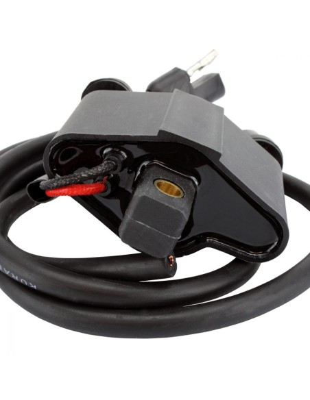 Bobine HT Arctic Cat Cheetah Cougar Jag Pantera Panther Prowler Mountain Cat ZL 440 OEM 3003-575 3005-386 3005-341