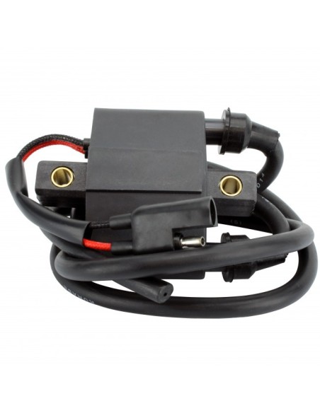 Bobine HT Polaris 700 800 RMK 600 8000 XC 340 500 Indy OEM 3090363 4017264 3089478 4060229 4016199 3087191 3087214