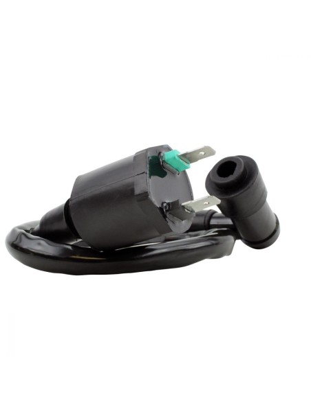 Bobine Haute Tension Polaris Phoenix 200 Sawtooth 200 OEM 0452309 0453894
