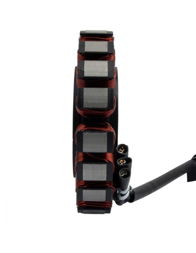 Stator Alternateur Triumph Speed Triple 1050 R RS OEM T1300196