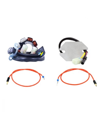 40W AC to DC Lighting Stator Voltage Regulator Charging System Conversion Upgrade Honda CRF250X 2004-2009 2012-2017