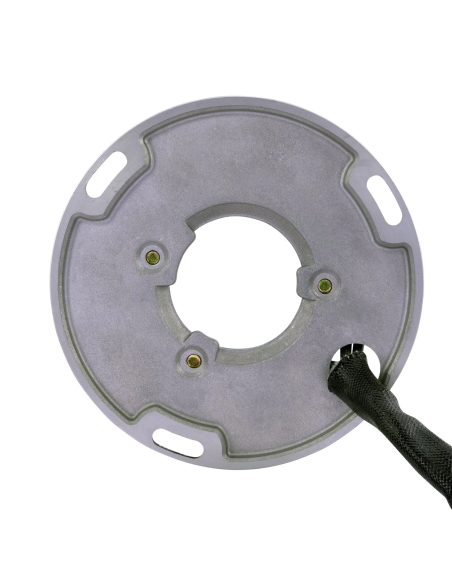 Stator GasGas TXT Pro 300 Husqvarna TC610 TE350 410 570 610 WXC WXE 350 410 610 Beta 125 250 270 OEM 800077391 MT300534008