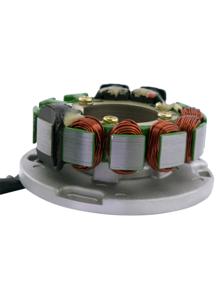 Stator GasGas TXT Pro 300 Husqvarna TC610 TE350 410 570 610 WXC WXE 350 410 610 Beta 125 250 270 OEM 800077391 MT300534008