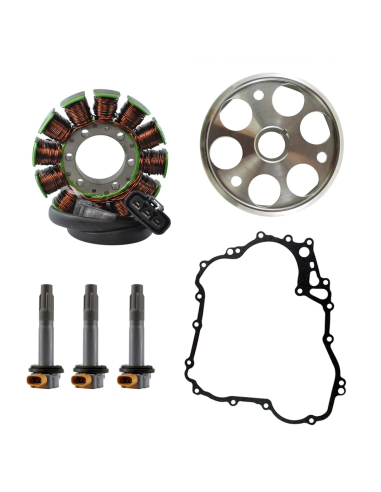 Kit Stator Volant Magnétique Rotor Bobines HT...