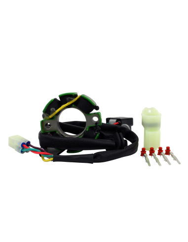 Stator 50W Eclairage KTM 85 125 150 SX Husqvarna TC 85 125 GasGas MC 85 125 OEM 50439004000