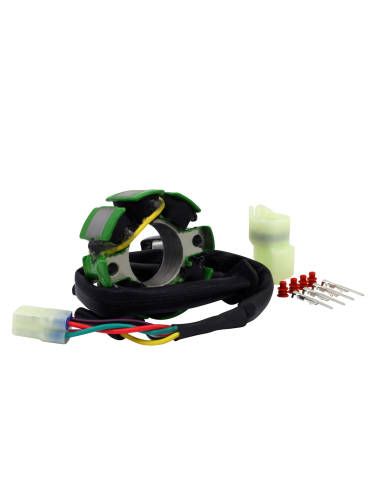 Stator 50W Eclairage KTM 85 125 150 SX Husqvarna TC 85 125 GasGas MC 85 125 OEM 50439004000