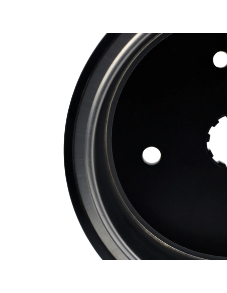 Volant Magnétique Rotor 38A Amélioré Harley Davidson RoadKing Electra Glide Softail 1340 OEM 29981-95
