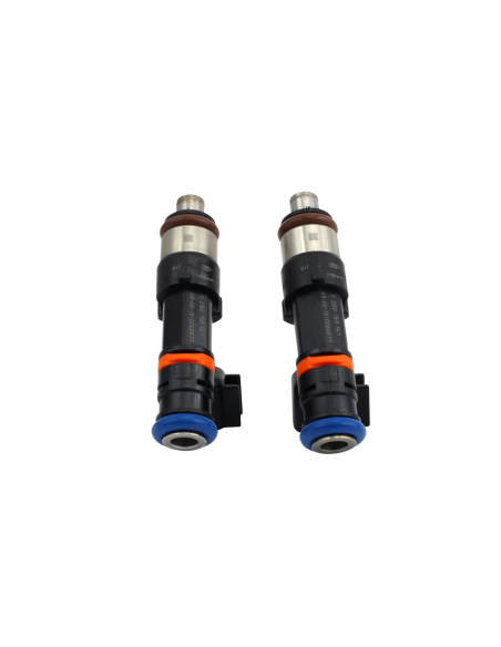 2 Pack Fuel Injector Set Polaris Ranger 800 Ranger Crew RZR S 4 800 OEM 1204319 1204318