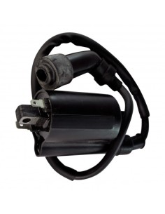 Bobine HT Suzuki Marauder 800 TL1000S DR125 200 Kawasaki Ninja 250R EL250 Eliminator OEM 33410-48E00 0455029 33410-14F00