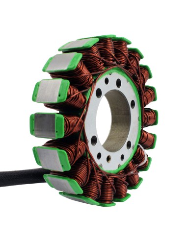 Stator Allumage Triumph Tiger 800 Tiger 800 XC XR XCA XCX XRX XRT OEM T1305965