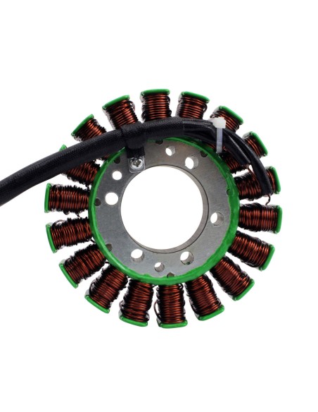Stator Triumph Tiger 800 Tiger 800 XC XR XCA XCX XRX XRT OEM T1305965
