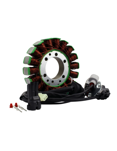 Stator Triumph Tiger 800 Tiger 800 XC XR XCA XCX XRX XRT OEM T1305965