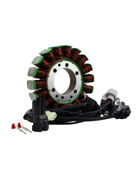 Stator Triumph Tiger 800 Tiger 800 XC XR XCA XCX XRX XRT OEM T1305965