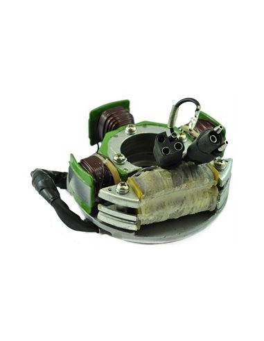 Stator Arctic Cat Bearcat Puma ZR Lynx El Tigre Wildcat Panther Cheetah Cougar Jag Pantera OEM 3003-584 3004-043 3003-326