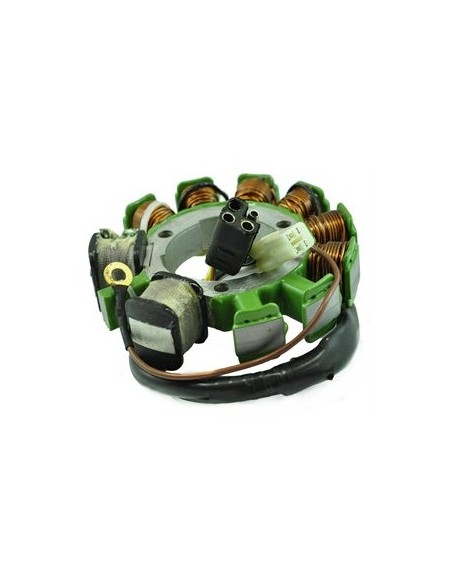 Stator Allumage Arctic Cat ZR 440 500 EXT600 Powder Xtreme 600 ZR600 ZRT600 OEM 3004-716 3004-809 3005-043 3005-248 3005
