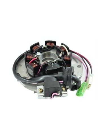 Stator Allumage Polaris Prédator 50 90 Scrambler 50 OEM 0450202 0450377 0450521 0450522 0450523 0450572 0450904 0450948