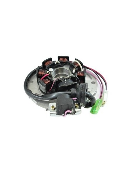 Stator Allumage Polaris Prédator 50 90 Scrambler 50 OEM 0450202 0450377 0450521 0450522 0450523 0450572 0450904 0450948