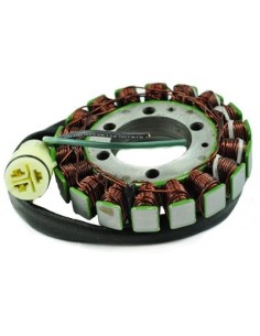 Stator Allumage SkiDoo Grand Touring 600 700 800 SE Sport OEM 420888230 410922907 410920900 410922941 410923200 2