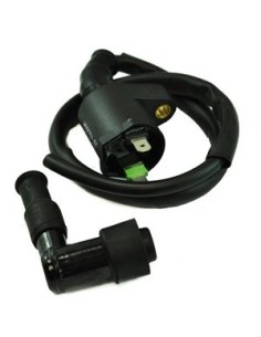 Bobine HT Honda TRX350 Rancher TRX250 Recon TRX400 TRX450 Foreman TRX90 Sportrax OEM 30510-HF1-670 30510-HM3-A60