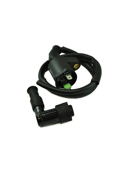 External Ignition Coil Honda TRX350 Rancher TRX250 Recon TRX400 TRX450 Foreman TRX90 Sportrax OEM 30510-HF1-670 30510-HM3-A60