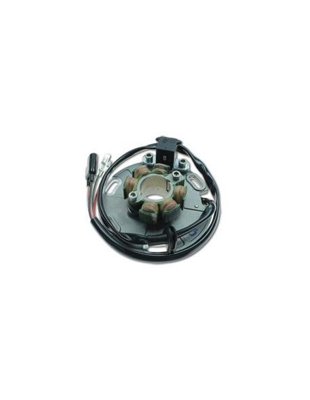 Stator Allumage Suzuki RM125 RM250 OEM 32101-27C00 32101-27C01 32101-27C10 32101-43D00
