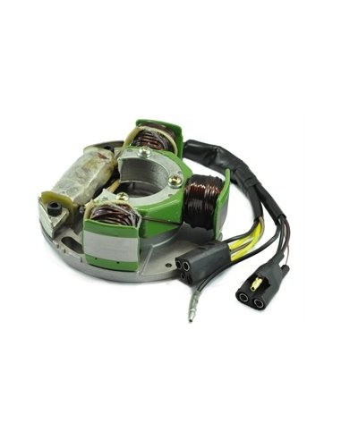 Stator Allumage Arctic Cat Z370 Z440 ZR440 Panther 440 OEM 3005-346