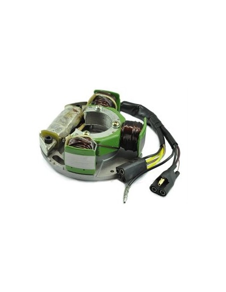 Stator Allumage Arctic Cat Z370 Z440 ZR440 Panther 440 OEM 3005-346
