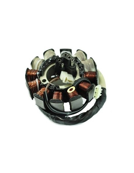Stator Arctic Cat Mountain Cat 500 600 EFI Pantera 600EFI ZL500 EFI ZL600 EFI ZR500 EFI ZR600 EFI OEM 3005-699