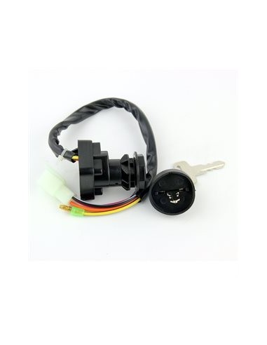 Two Position Ignition Key Switch Suzuki LT80 LTZ50 OEM 37110-40B00