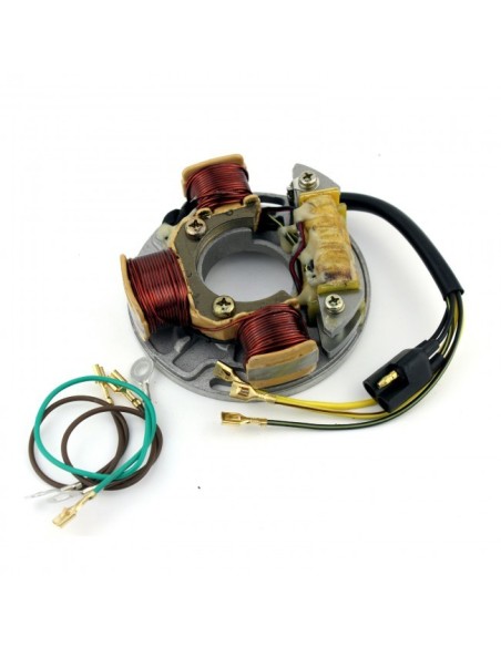 Stator SkiDoo Alpine Formula Mach 1 Nordik Safari Tundra OEM 410914200