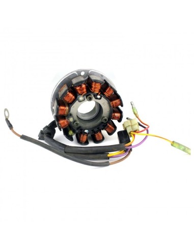 Stator Arctic Cat King Cat 900 Mountain Cat 800 Mountain Cat 900 ZL800 ZR440 ZR800 ZR900 OEM 3005-727 3005-805 3005-784