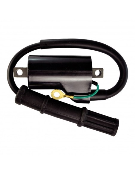 Bobine HT pour Honda 125 CBR - JC39A main image 1