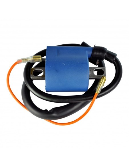 Ignition Coil-Yamaha-250 Big Bear