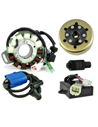 Kit Stator 100 W Rotor CDI Ignition Coil Yamaha 350 Banshee OEM 3GG-85540-10-00 2GU-85550-50-00 3GG-85550-00-00