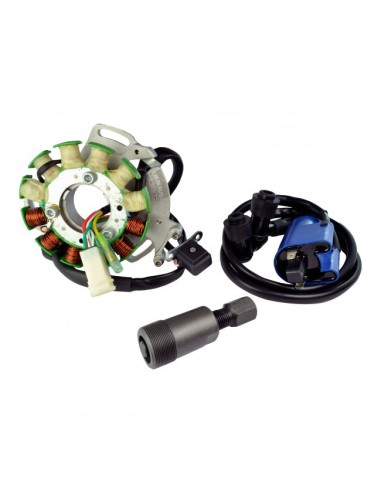 Kit Stator 100 Watts Platine Bobine HT Arrache Volant Yamaha 350 Banshee OEM 2GU-85510-50-00