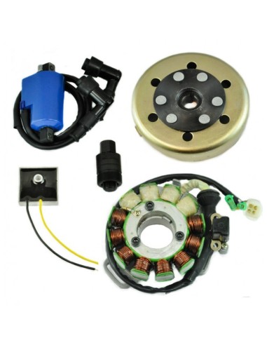 Kit Stator 200 Watts Rotor Bobine Régulateur Yamaha 350 Banshee OEM 2GU-85510-50-00 2GU-85550-50-00
