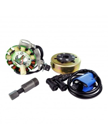 Kit Stator 100 Watts Rotor Bobine HT Yamaha 350 Banshee OEM 2GU-85510-50-00 2GU-85550-50-00 3GG-85550-00-00