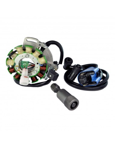 Kit Stator Allumage 100 Watts Bobine HT Yamaha 350 Banshee OEM 3GG-85510-00-00 3GG-85510-01-00 2GU-82310-50-00