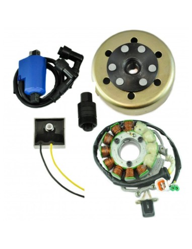 Kit Stator 200 W Rotor Régulateur Bobine Yamaha 350 Banshee OEM 3GG-85510-00-00 3GG-85510-01-00 2GU-85550-50-00 3GG-85550-00-00