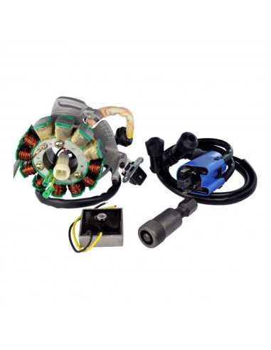 Kit Stator 200 W Bobine Régulateur Yamaha 350 Banshee OEM 2GU-85510-50-00