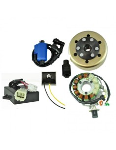 Kit Stator 200 W Rotor CDI Ignition Coil Regulator Yamaha 350 Banshee OEM 3GG-85550-00-00 3GG-85540-10-00 3GG-85510-00-00