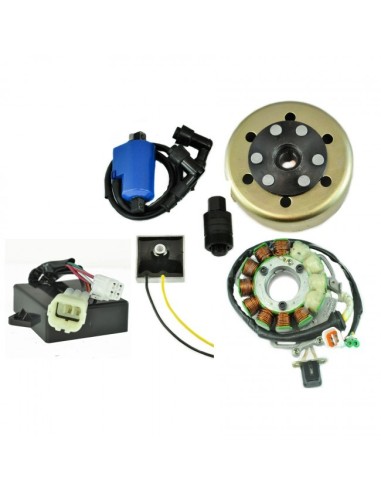 Kit Stator 200 W Rotor CDI Ignition Coil Regulator Yamaha 350 Banshee OEM 3GG-85550-00-00 3GG-85540-10-00 3GG-85510-00-00
