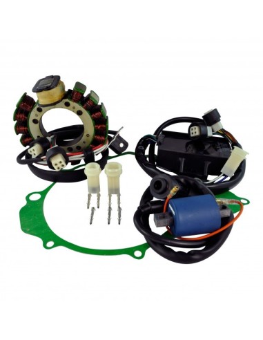 Kit Ignition Stator Ignition Coil CDI Stator Cover Gasket Yamaha 350 Warrior OEM 3HN-85510-00-00 3GD-85540-20-00